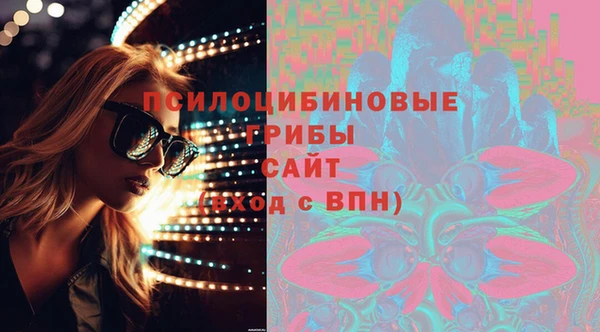 дживик Бердск