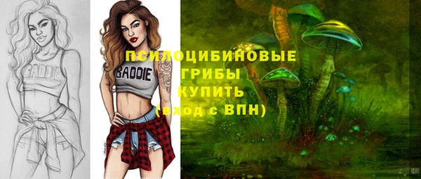 дживик Бердск