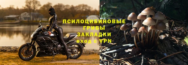 дживик Бердск