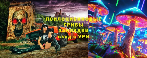 дживик Бердск