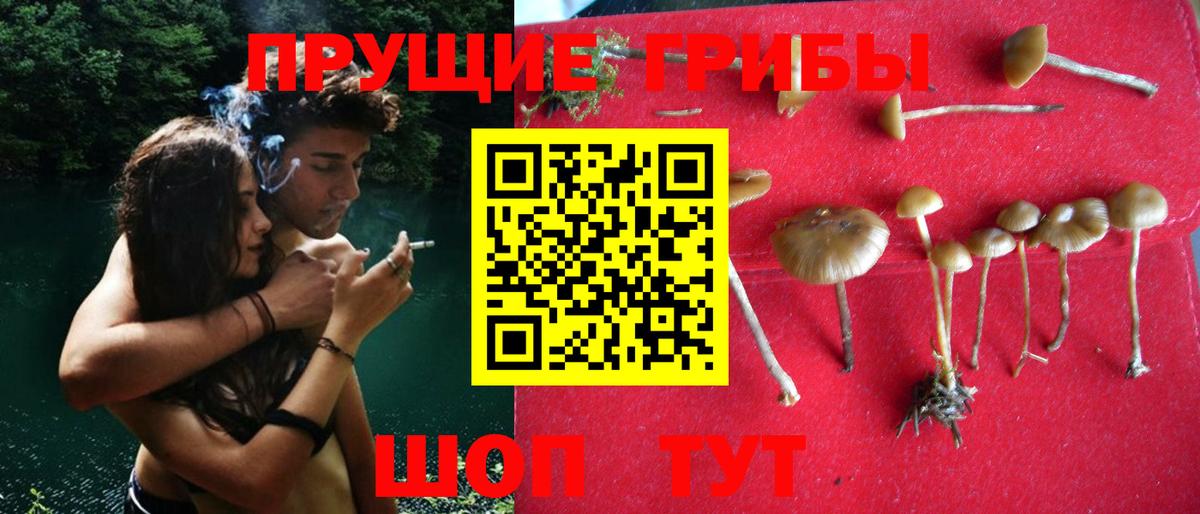 Галлюциногенные грибы мицелий  Вход с VPN  что такое наркотик  Ипатово 